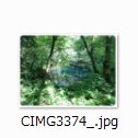 CIMG3374_x.jpg(4349 byte)